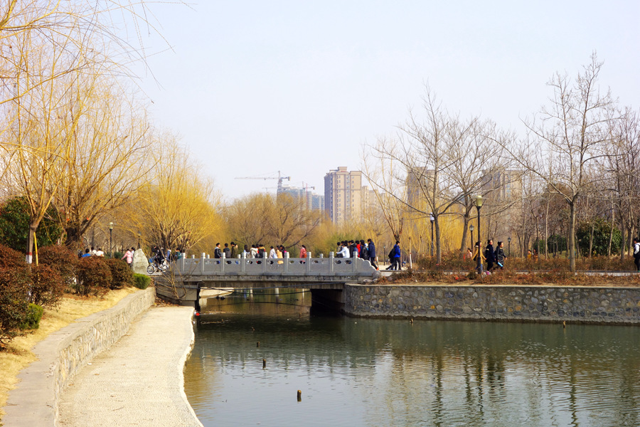 DSC08441_副本.jpg
