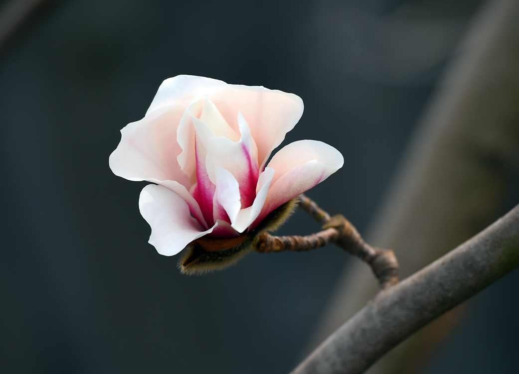 DSC_0571.JPG