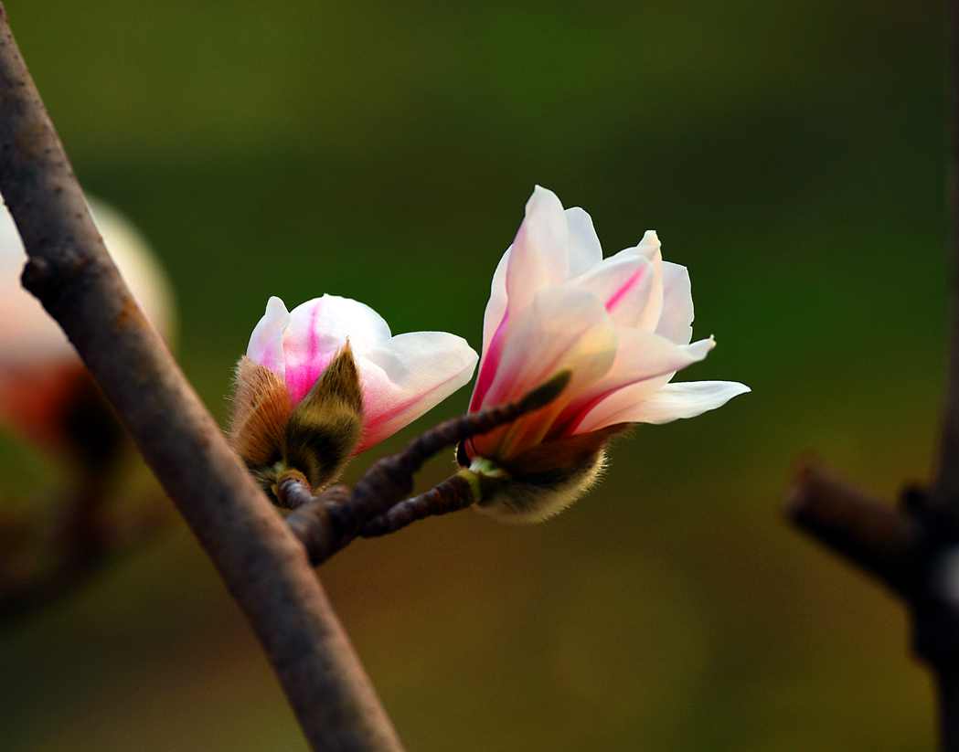 DSC_0581.JPG