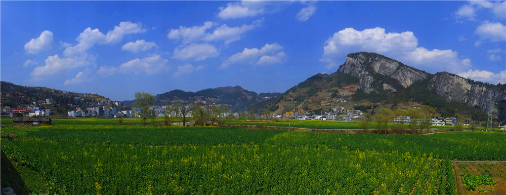 DSCF3224-2.jpg