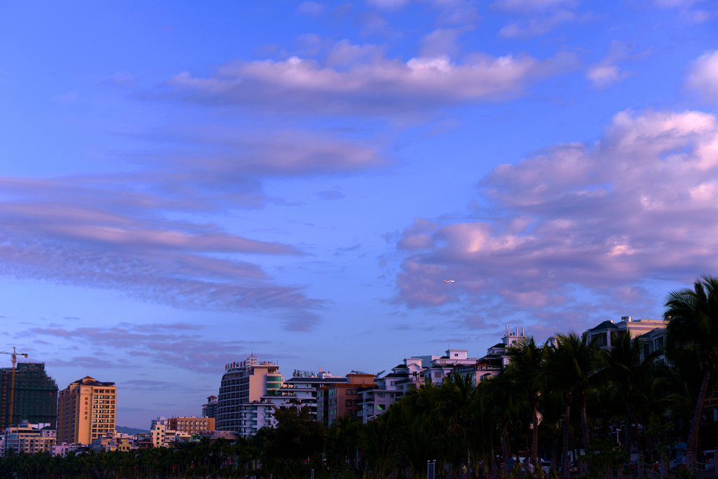 DSC_1531.JPG