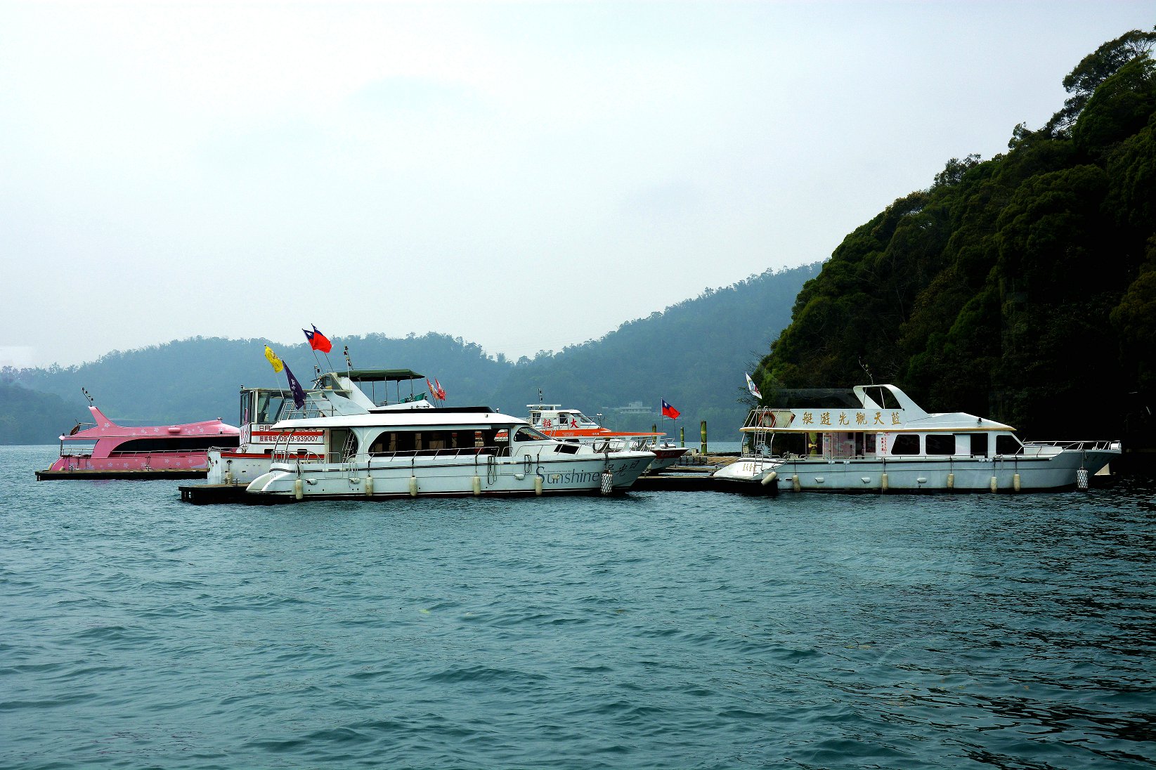 DSC_0650_副本.jpg