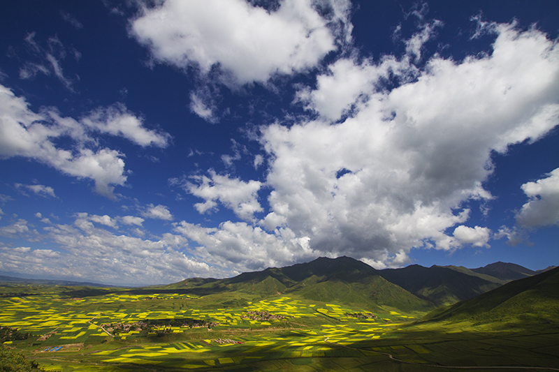 _MG_9360-0.jpg