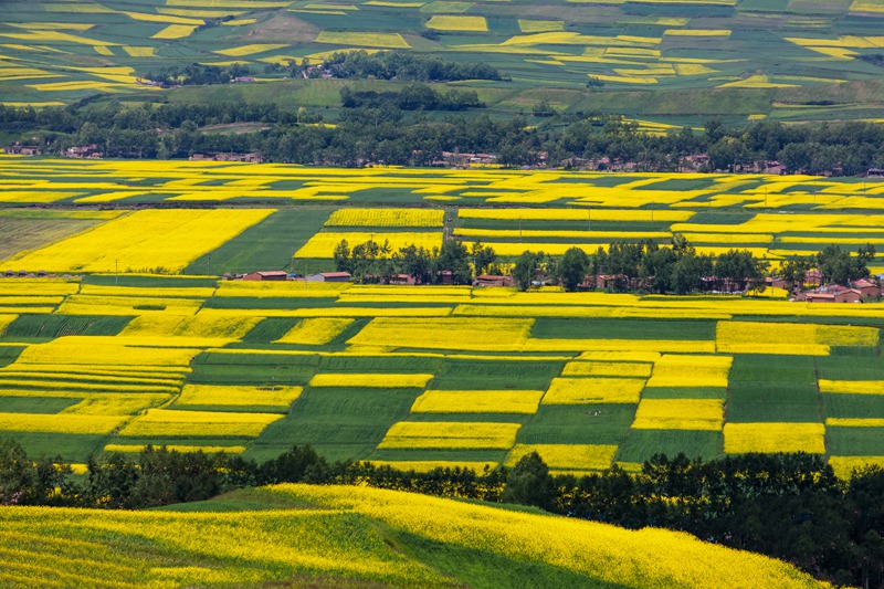 _MG_8976-0.jpg