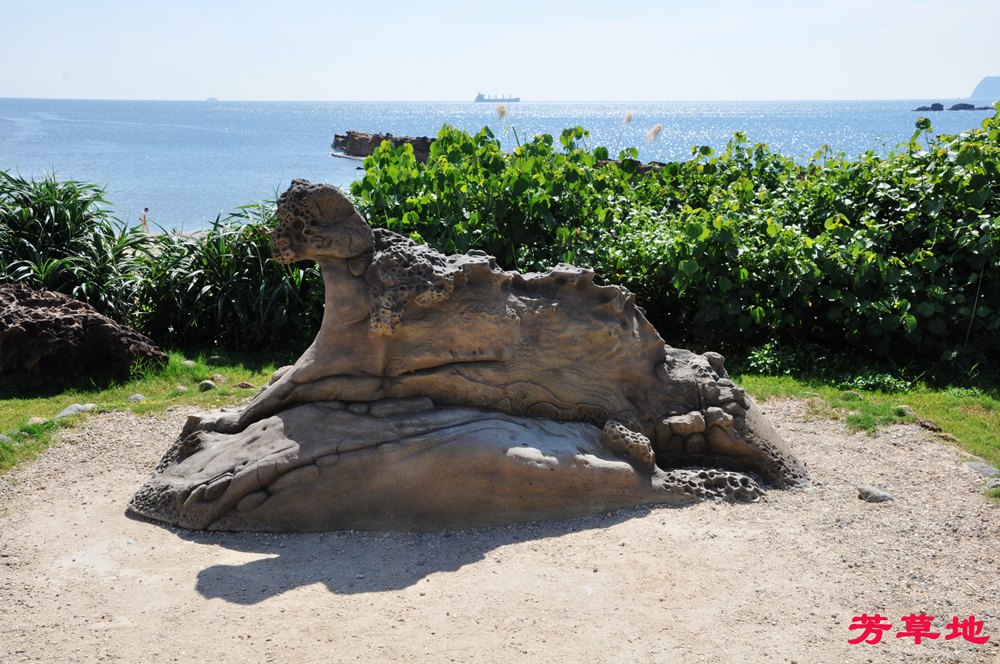 DSC_2087.jpg