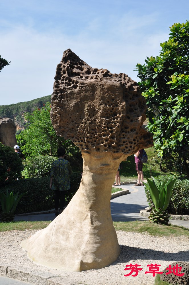DSC_2093.jpg
