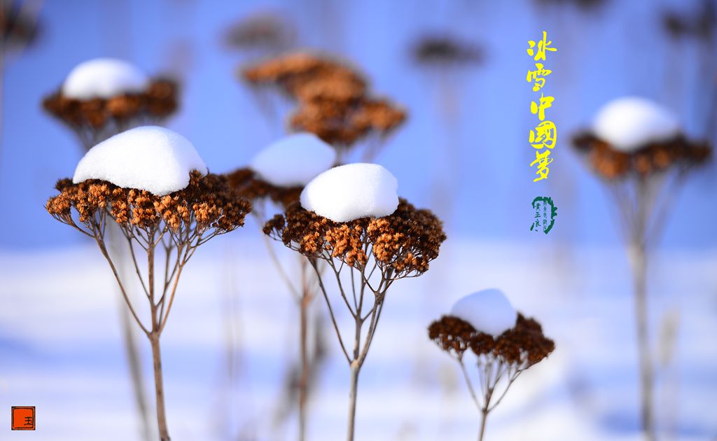 冰雪中国梦DSC_7604-3.jpg