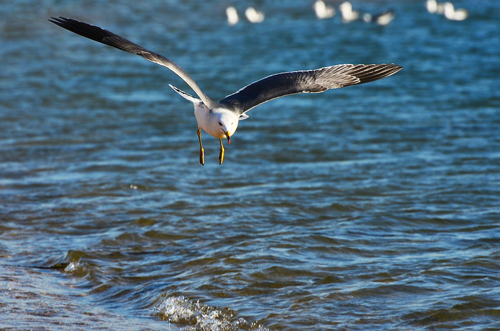 DSC_8861x.jpg