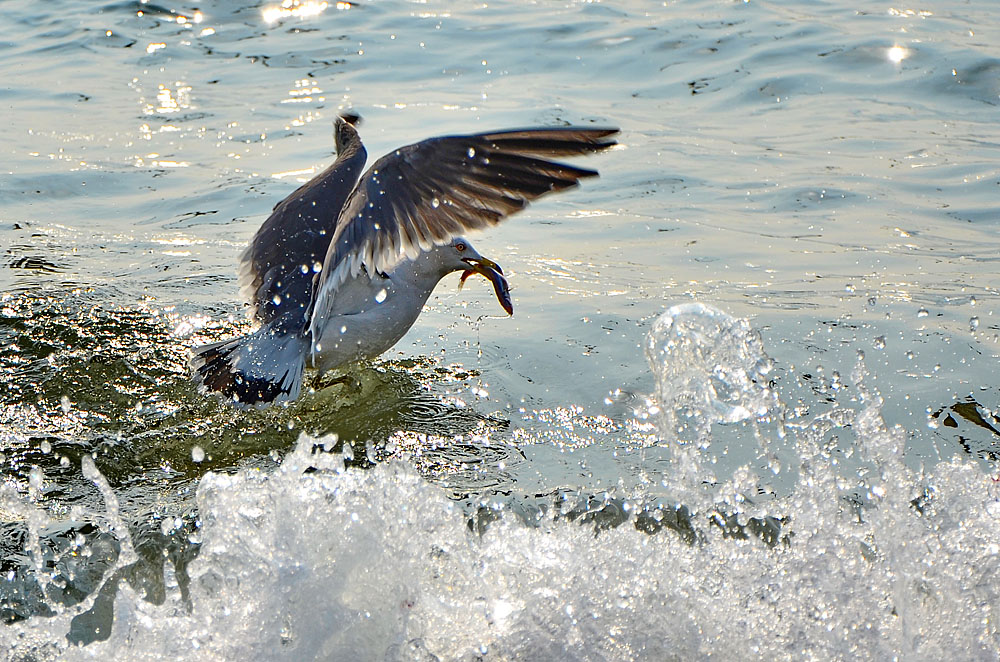DSC_8999x.jpg