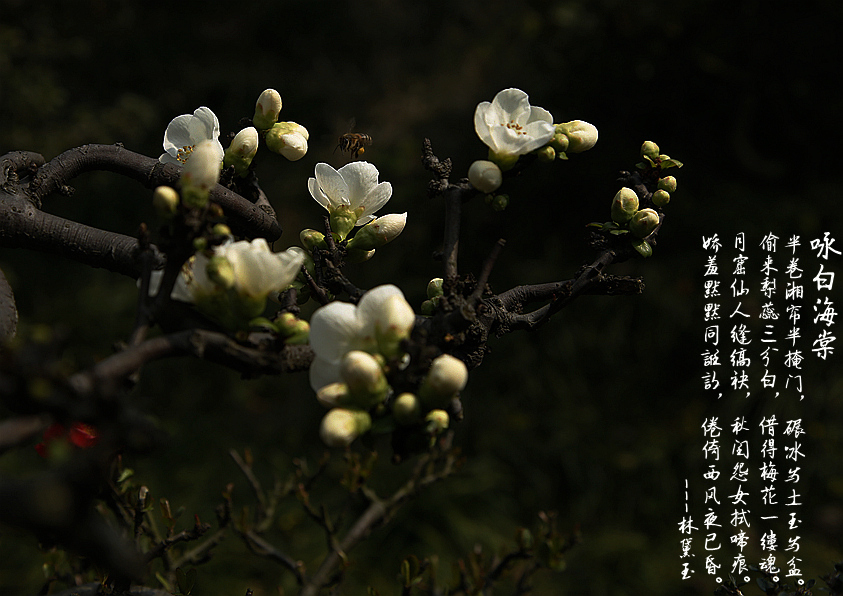 _U2A0058.JPG