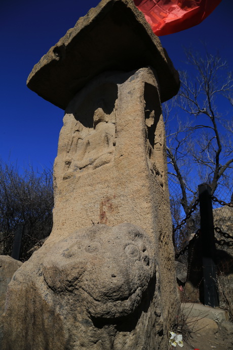 IMG_8369_调整大小.JPG