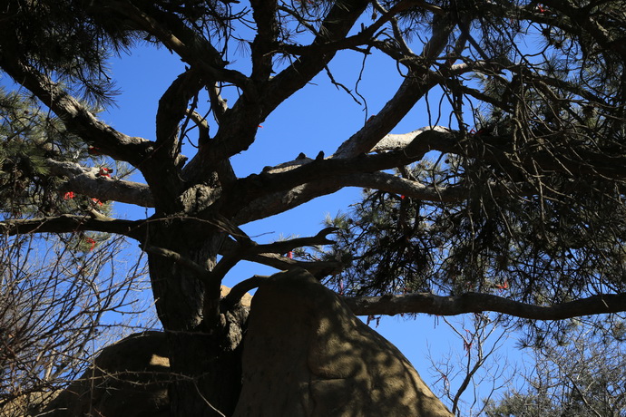 IMG_8382_调整大小.JPG