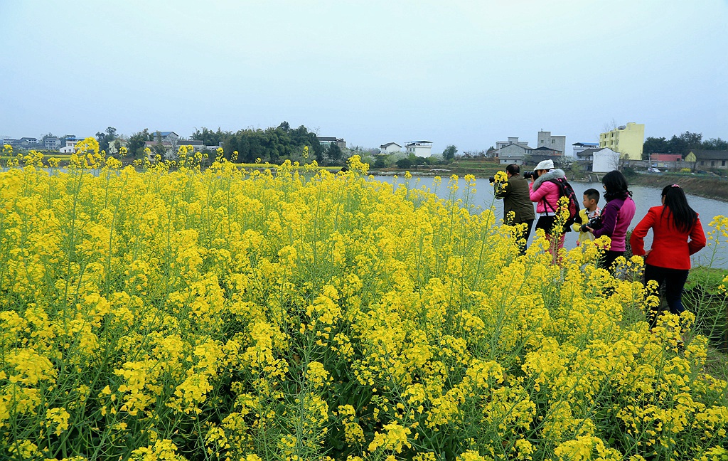 D34A2741_副本.jpg