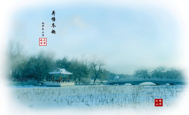 _MG_8501p1x.jpg