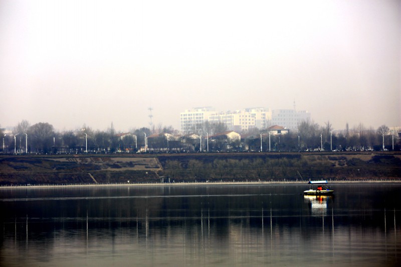 conew__85a5008.jpg