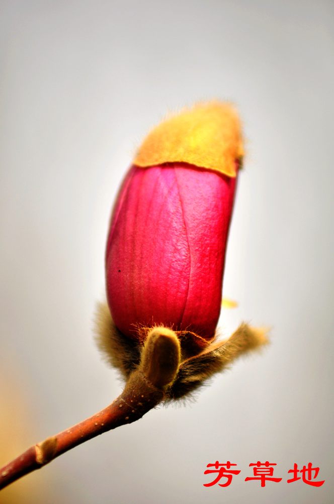 DSC_1947.jpg