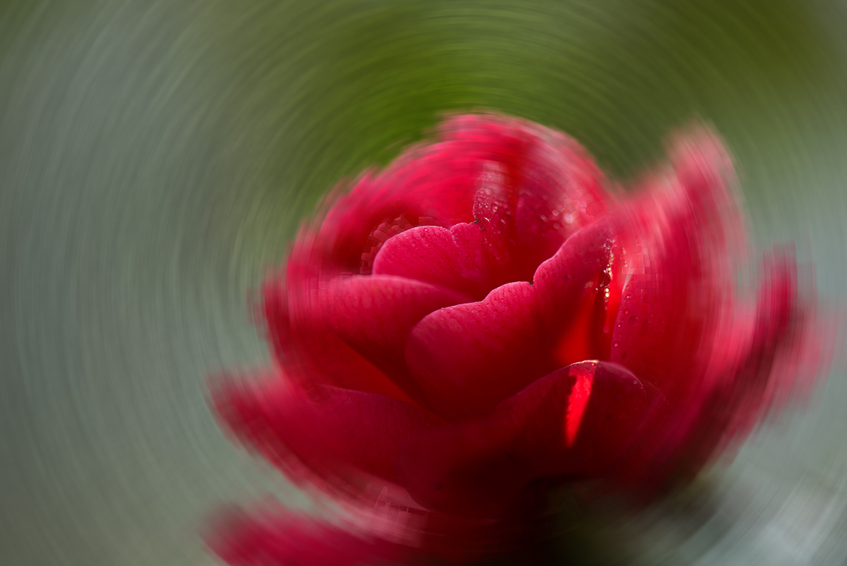 DSC_8869.jpg