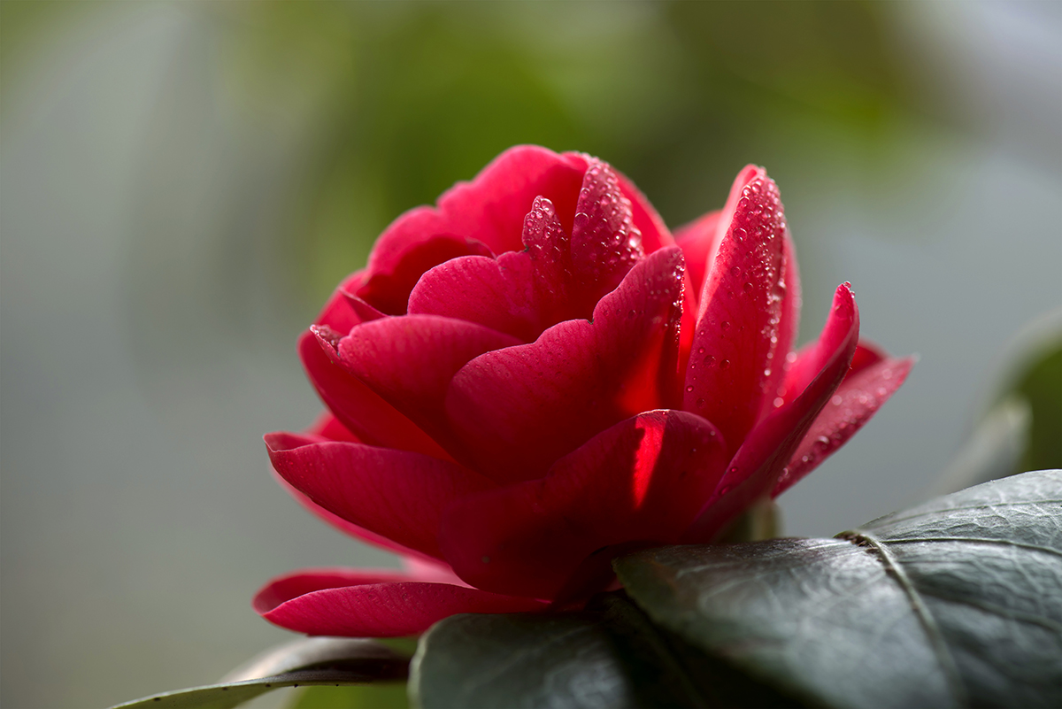DSC_8871.jpg