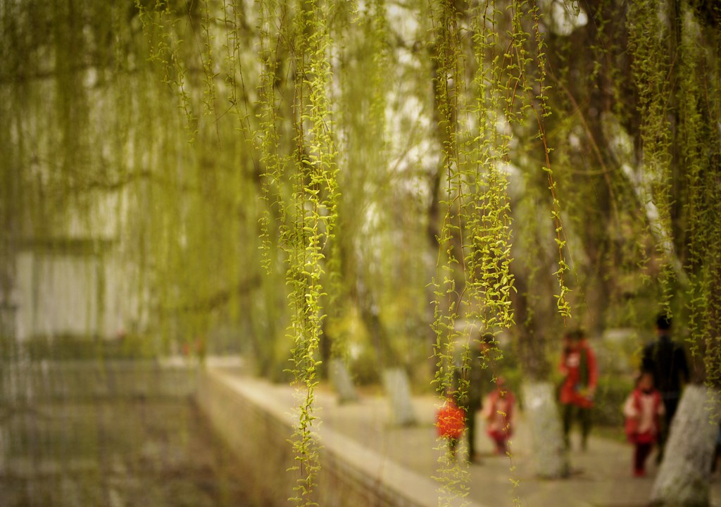 _DSC7732_副本_副本.jpg