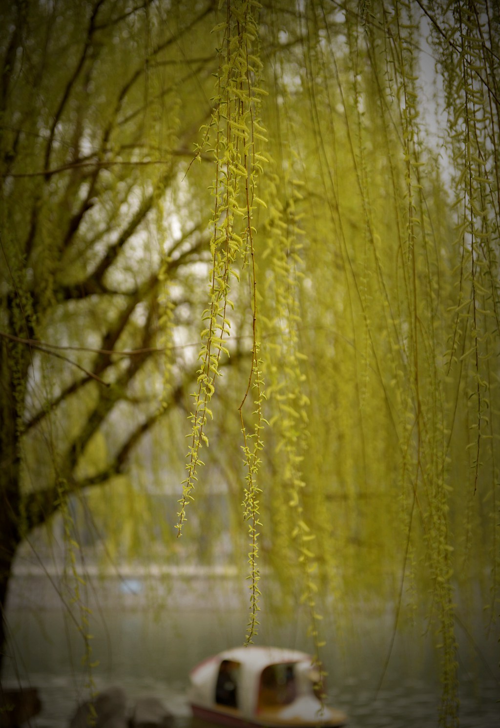 _DSC7768_副本_副本.jpg