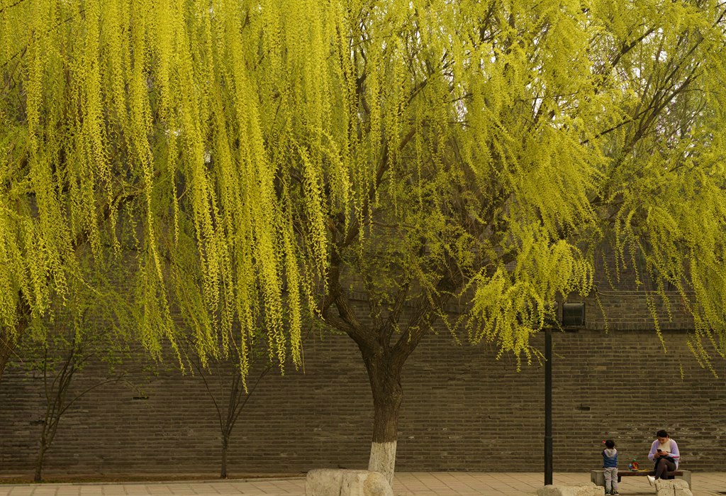 _DSC7793_副本_副本.jpg