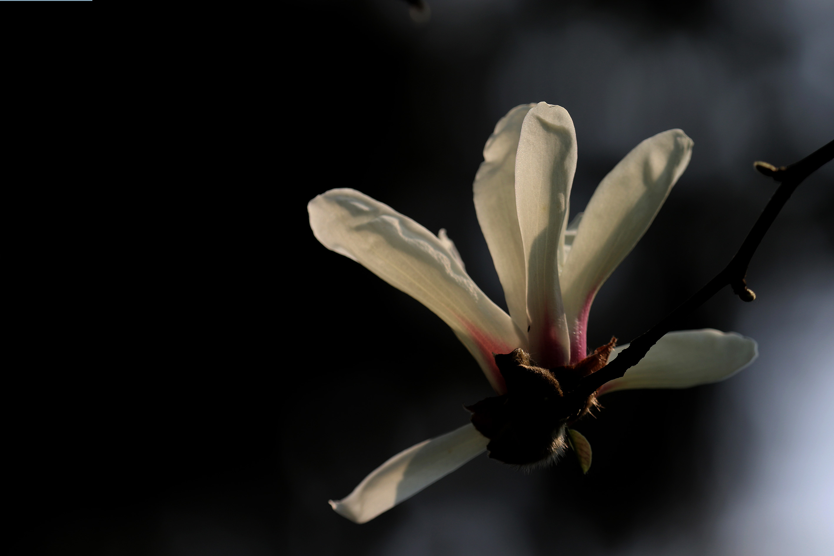 009A5936.jpg