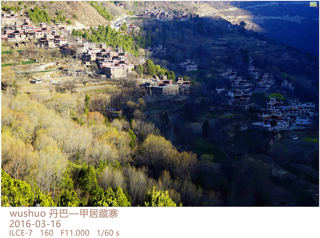 _DSC0207_副本_副本.jpg