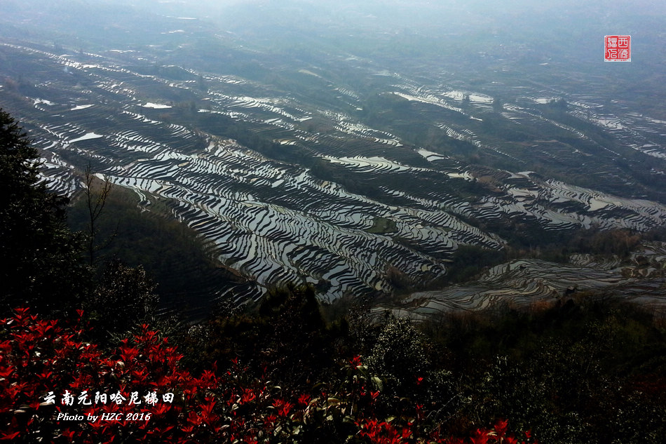 云南元阳哈尼梯田(西海猫人摄）