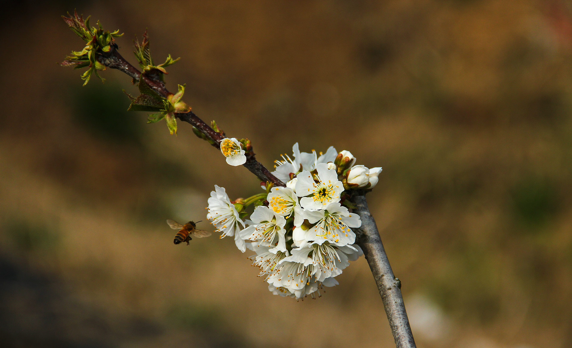 IMG_47571.jpg