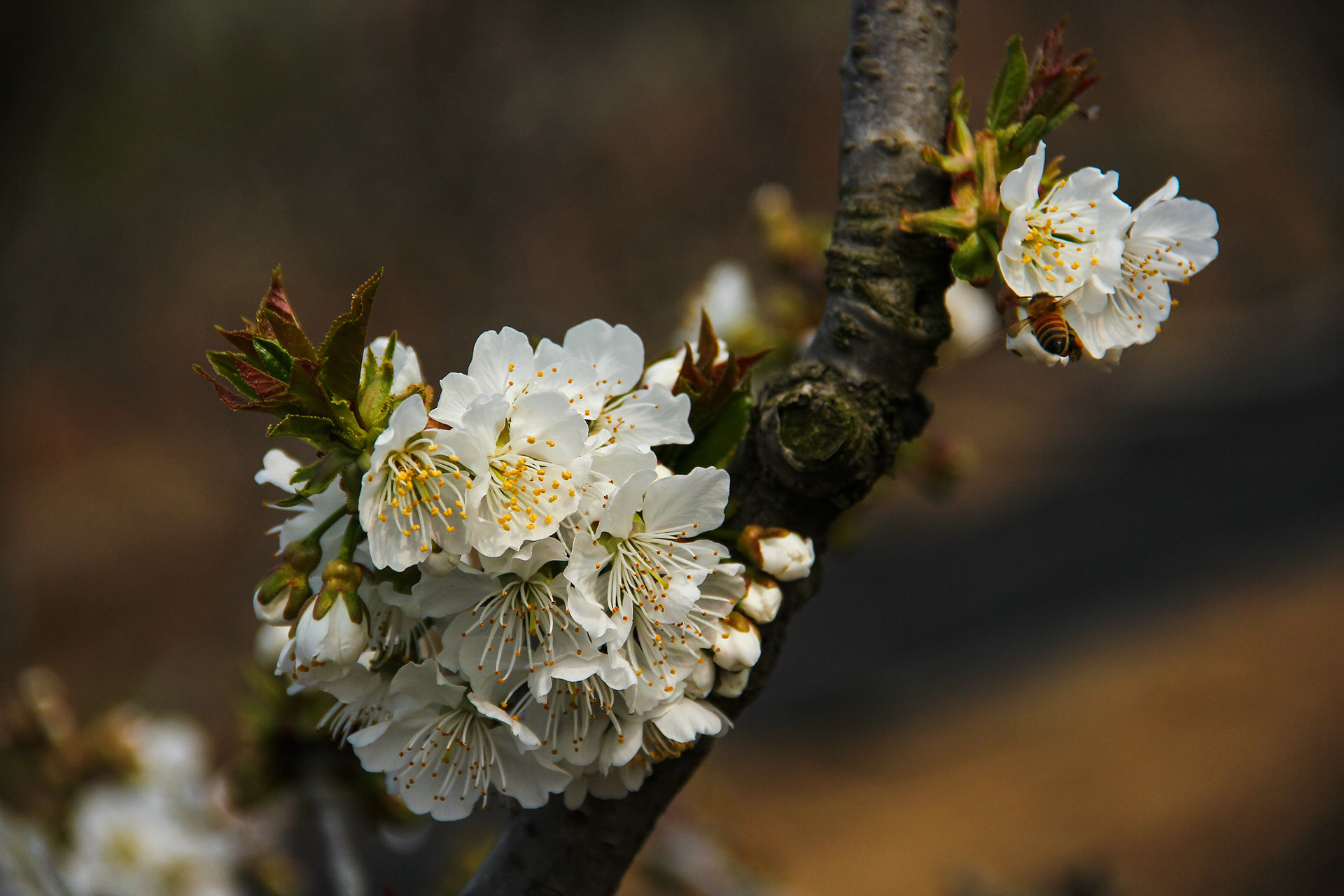 IMG_47731.jpg