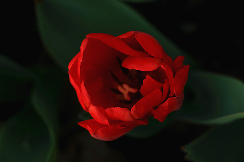 IMG_4224_副本.jpg