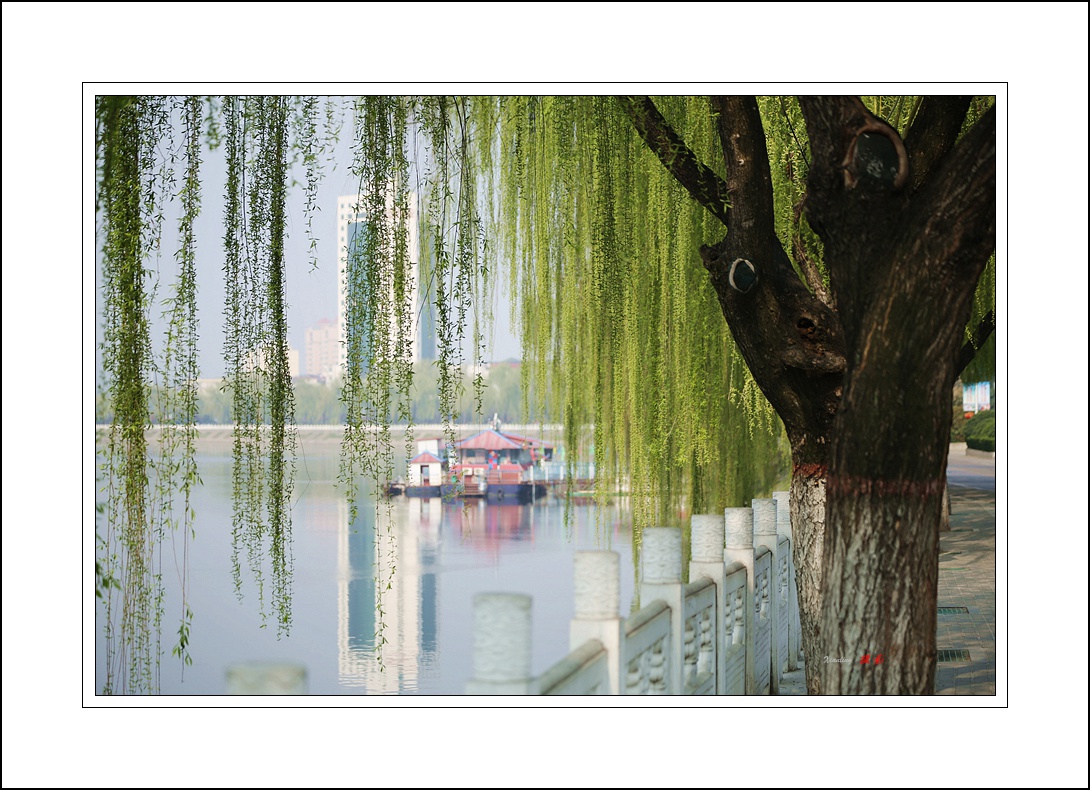 5Q4A2542_副本st.jpg