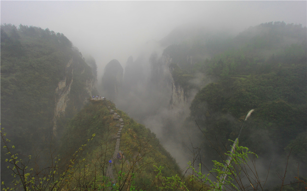 IMG_5800-2_副本.jpg