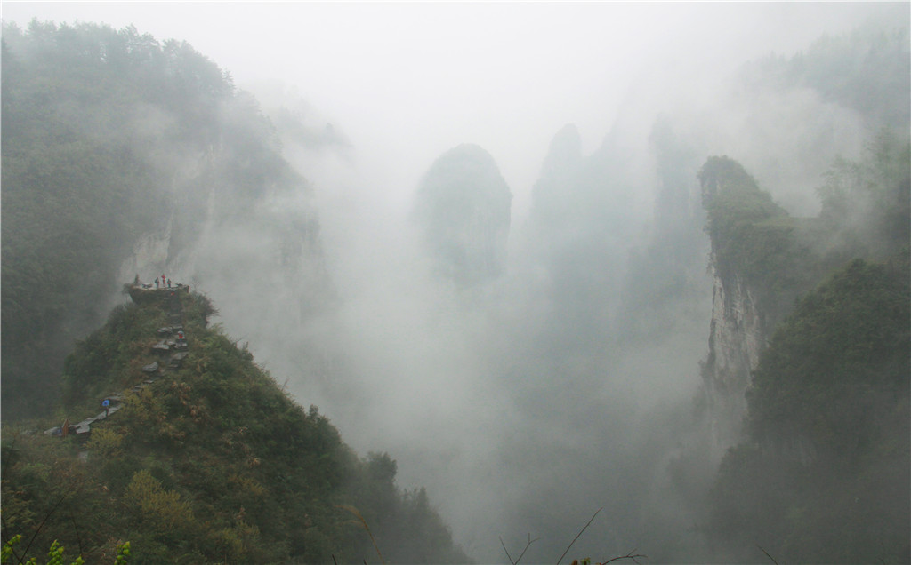 IMG_3305-2_副本.jpg