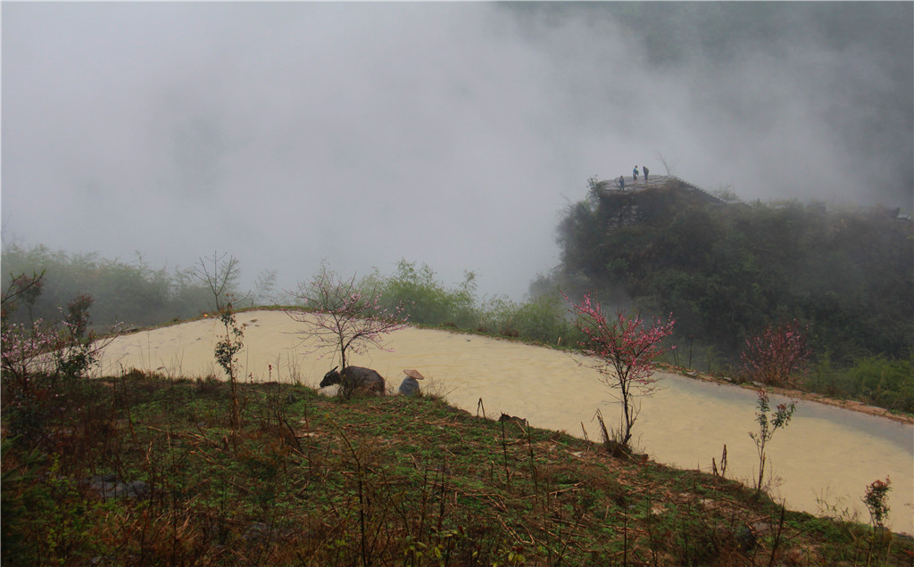 IMG_3350-2_副本.jpg