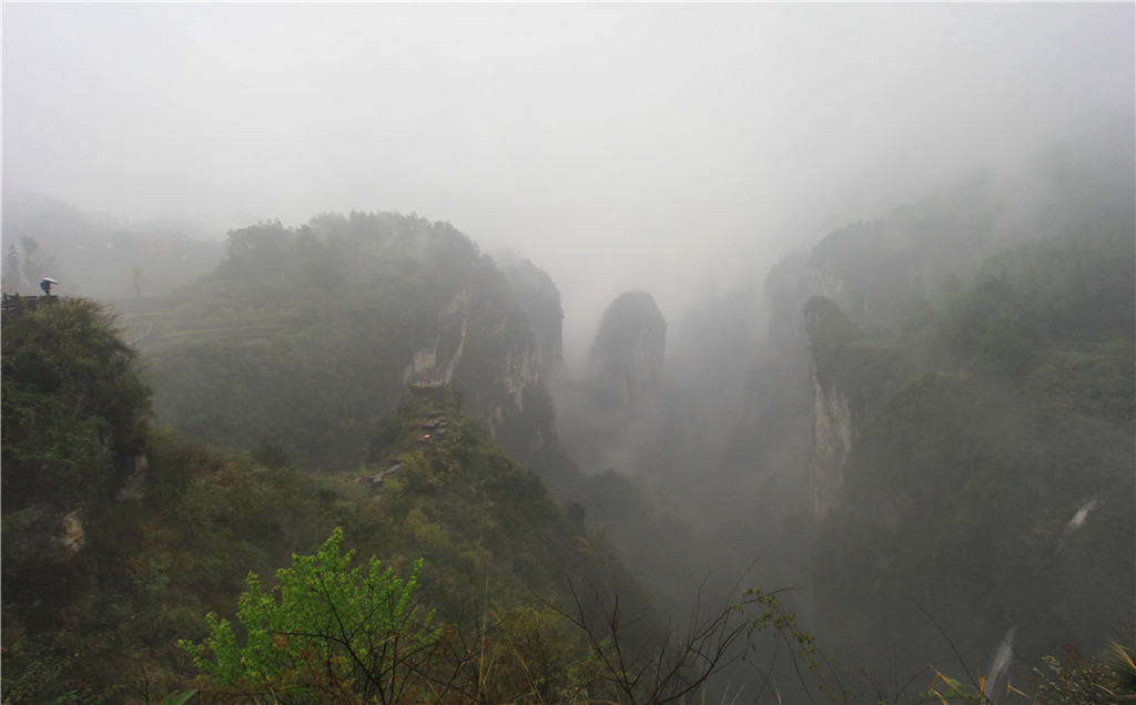 IMG_5775-2_副本.jpg