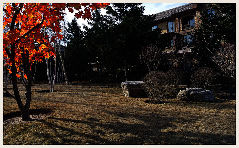 DSC_4898.JPG