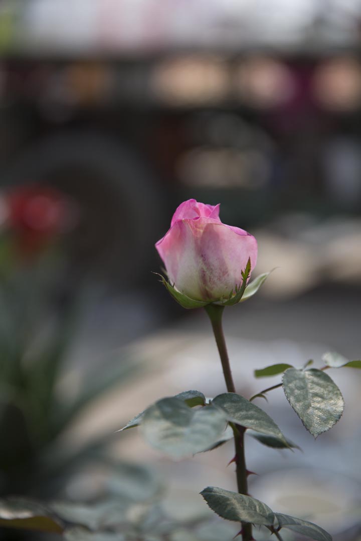 301A7839.jpg