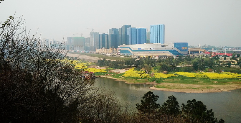 IMG20160315113202_缩小大小.jpg