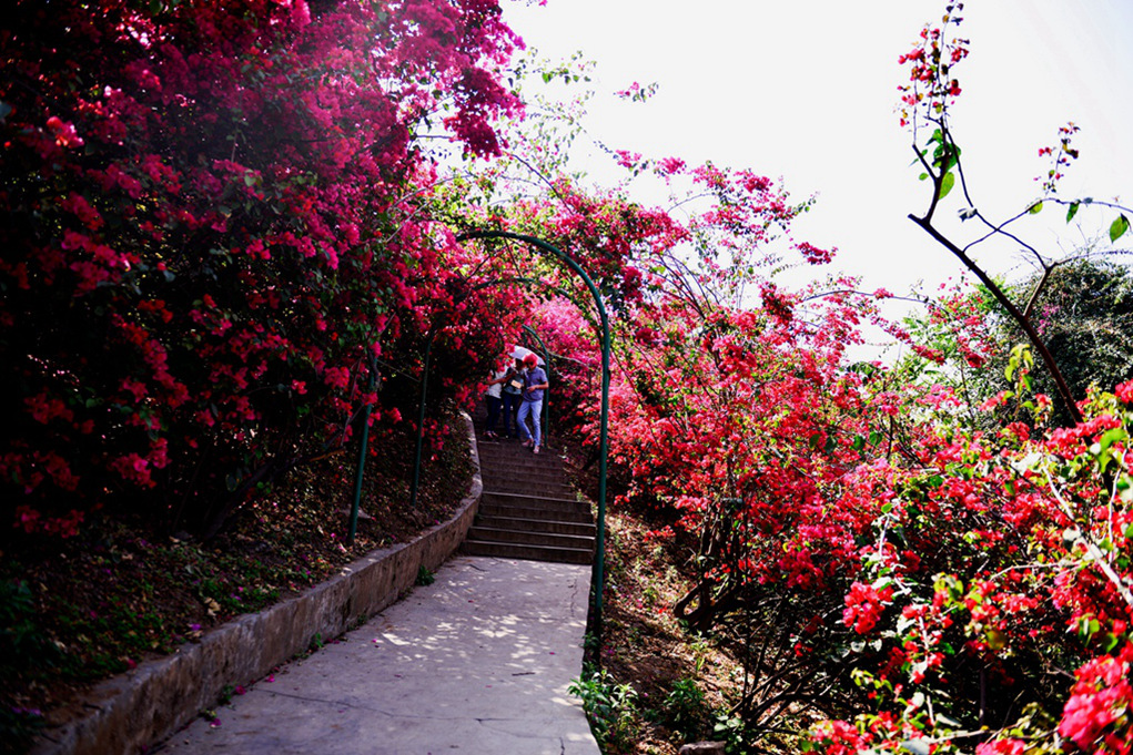 DSC_2386.JPG