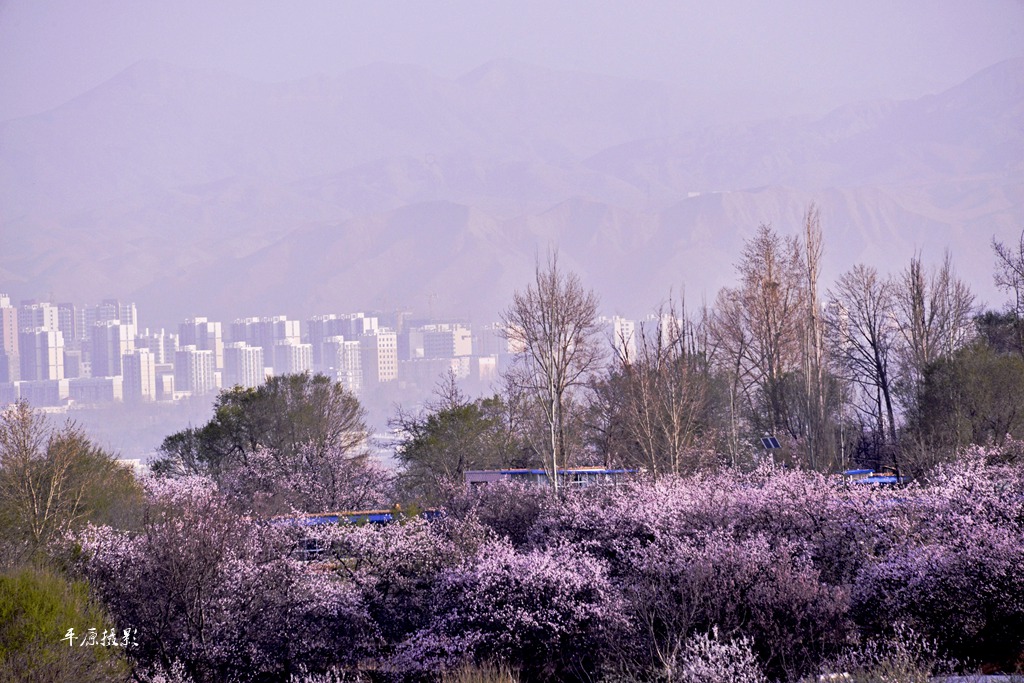 _DSC3022_副本_副本.jpg