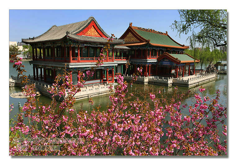 花境专辑5--5图-5《春花开在北京城》--支箭-独创用杆撑相机拍摄.jpg