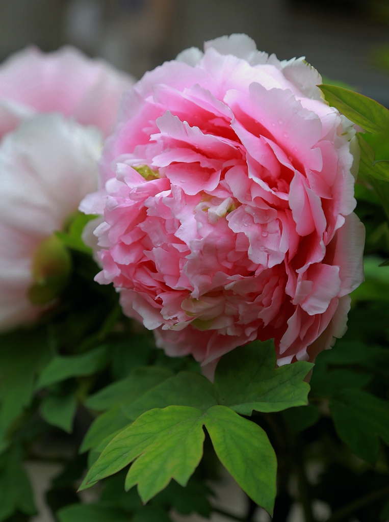 D34A6321-_副本.jpg