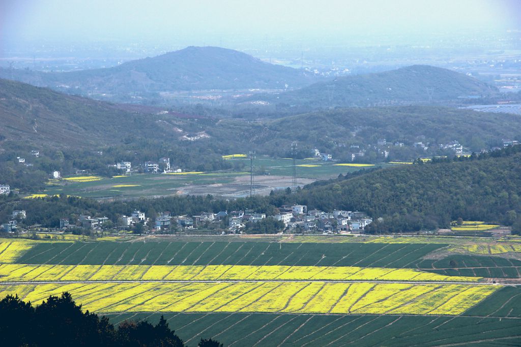IMG_9820_副本.jpg