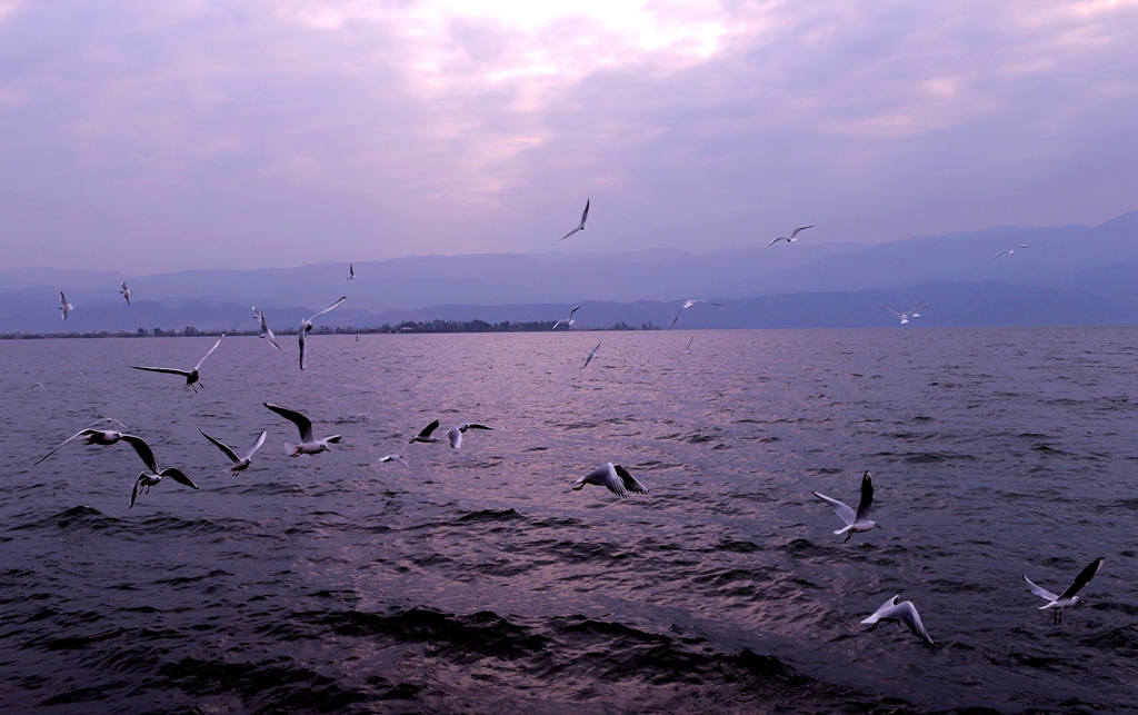 DSC_3024.JPG
