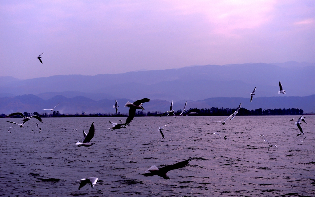 DSC_3133.JPG
