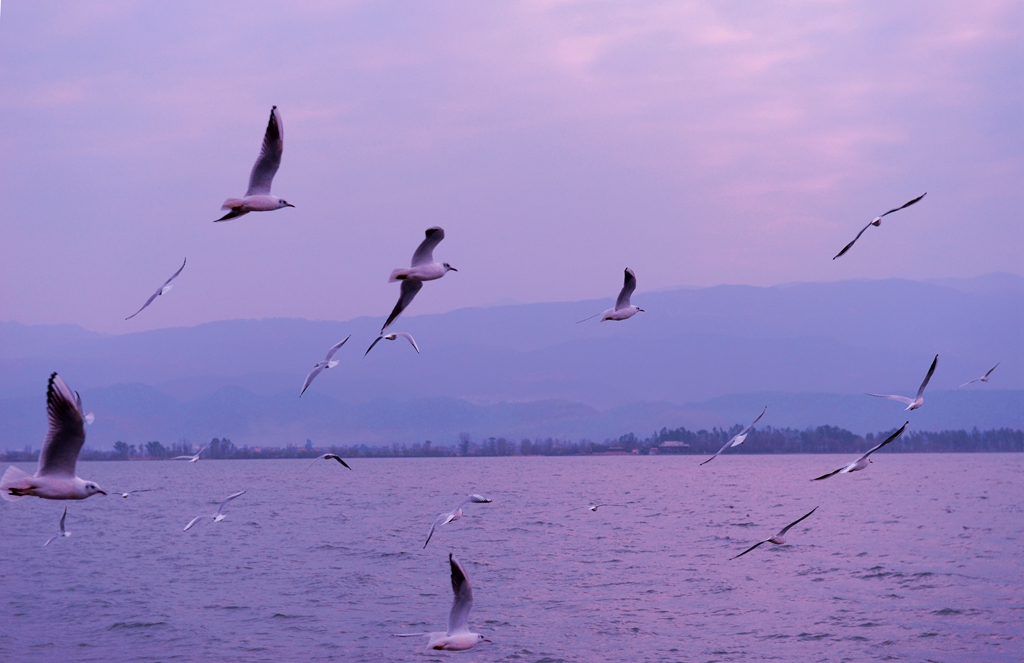 DSC_3231.JPG