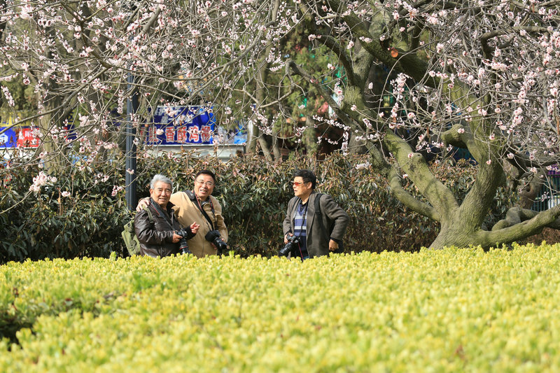 AW2A4032_副本.JPG