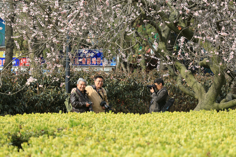 AW2A4033_副本.JPG