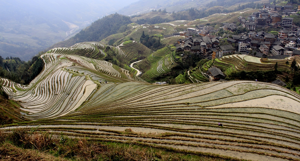 龙脊梯田 (2).JPG